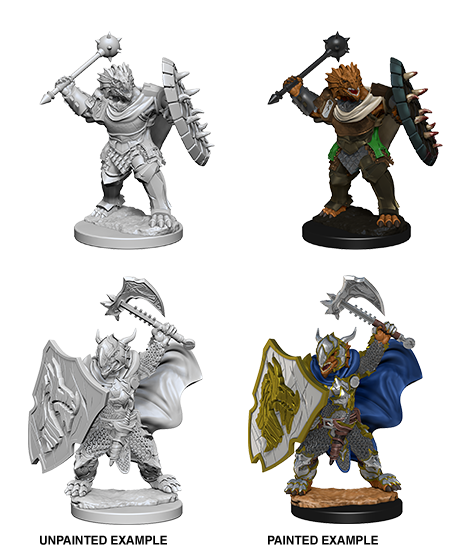 D&D Nolzur's Marvelous Miniatures: Dragonborn Paladin