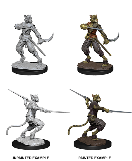 D&D Nolzur's Marvelous Miniatures: Tabaxi Rogue