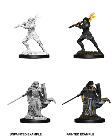 D&D Nolzur's Marvelous Miniatures: Human Paladin