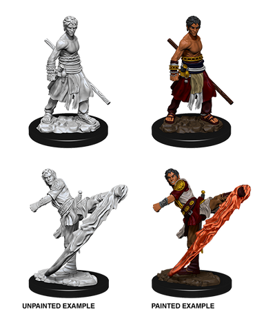 D&D Nolzur's Marvelous Miniatures: Half-Elf Monk