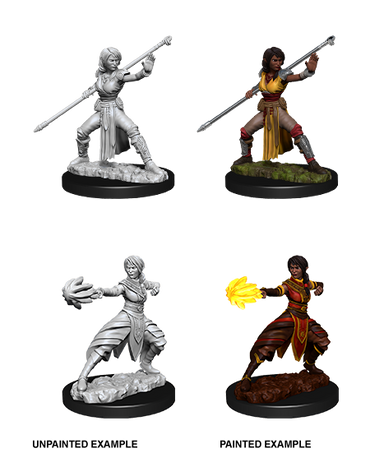 D&D Nolzur's Marvelous Miniatures: Half-Elf Monk