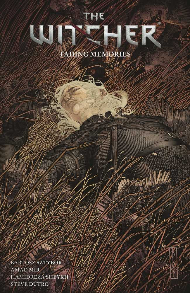 Witcher TPB Volume 05 Fading Memories